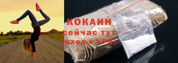 гашик Михайлов