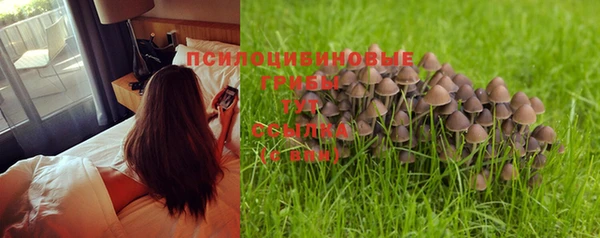 молекула духа Михайловск