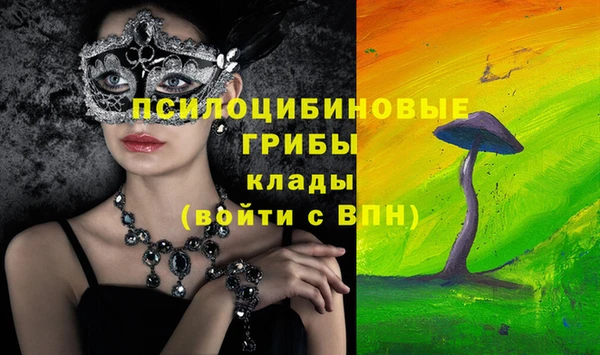 гашик Весьегонск