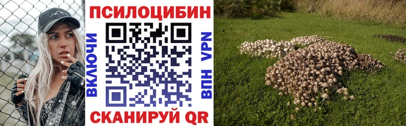 Галлюциногенные грибы Psilocybine cubensis Нягань
